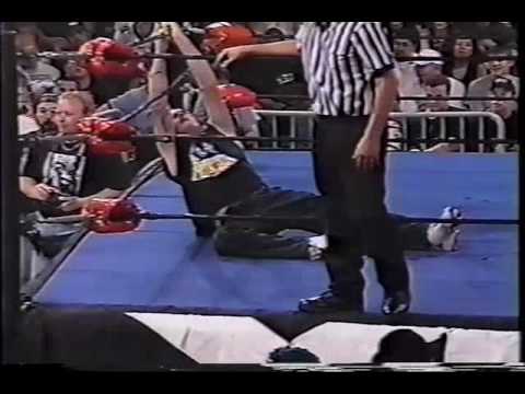 The Sandman vs. Pogo The