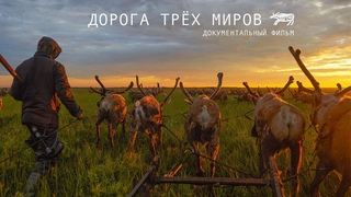 ДОРОГА ТРЁХ МИРОВ. Тизер фильма Веры Вакуловой об оленеводах Канинской тундры. 2017
