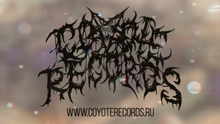 INFILTRATION - pandora's box - Release On Coyote Records 2022