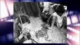 История в кадрах. №11.