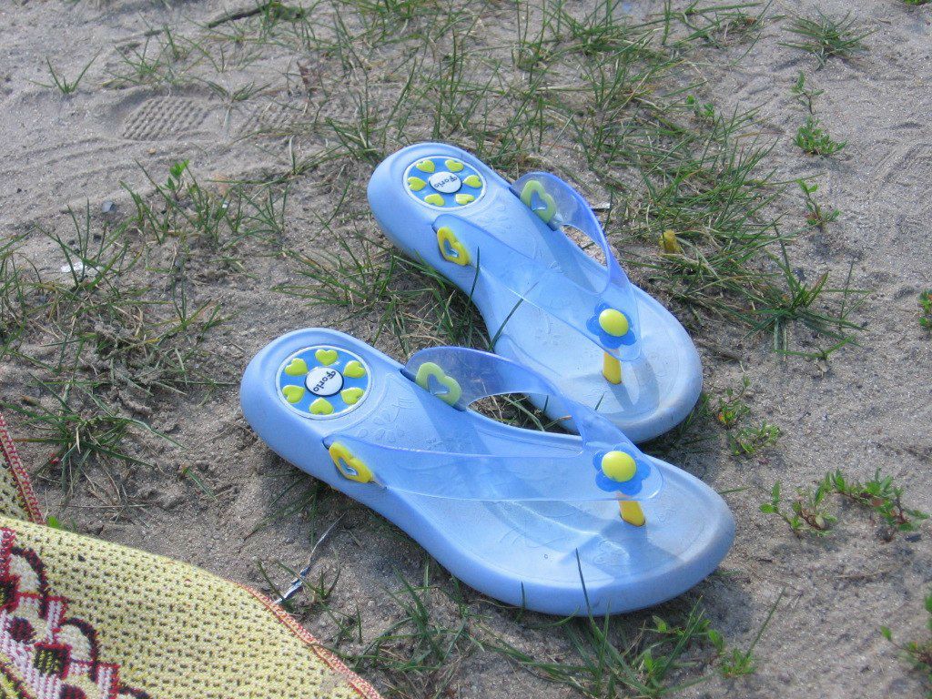 Лариса Долгих | Воронеж