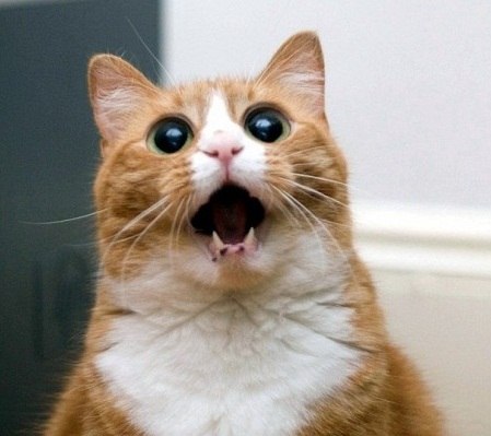 Андрей Комаров | Киев