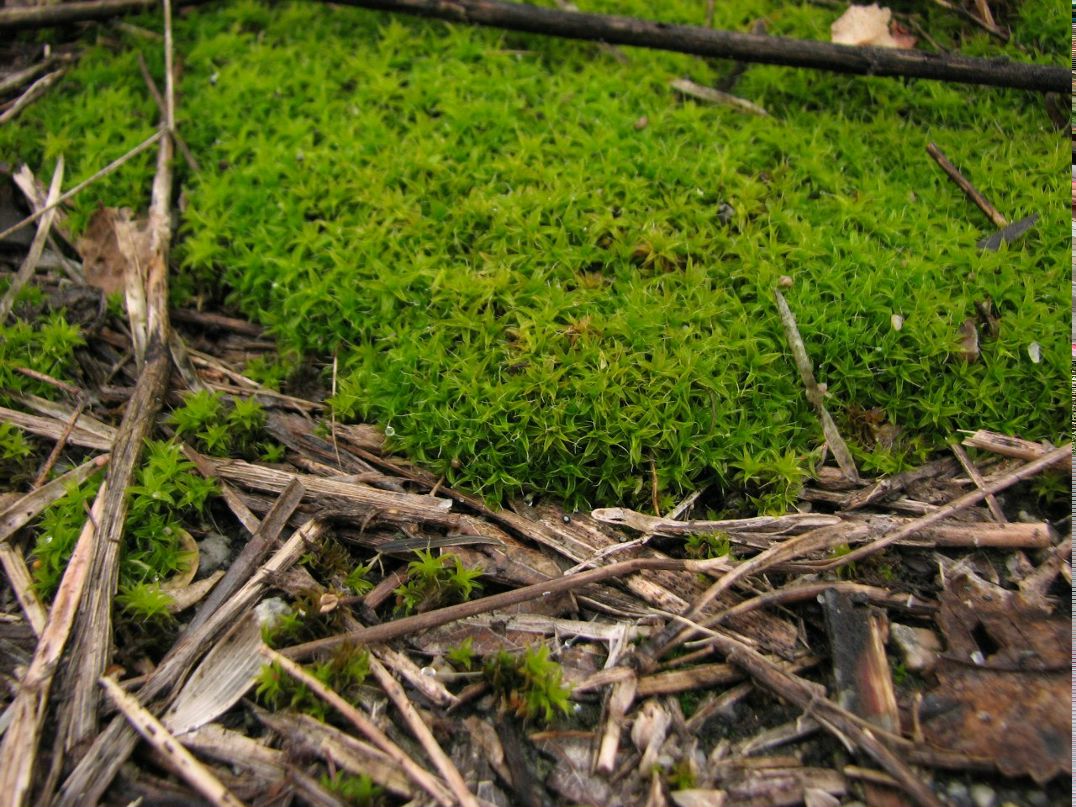 Святослав Жучков | 