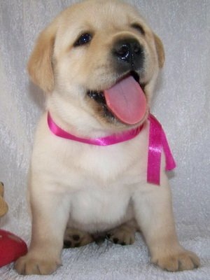 №58, Настя Старцева, 36 лет, Алупка №58, Настя Старцева, 36 лет, Алупка