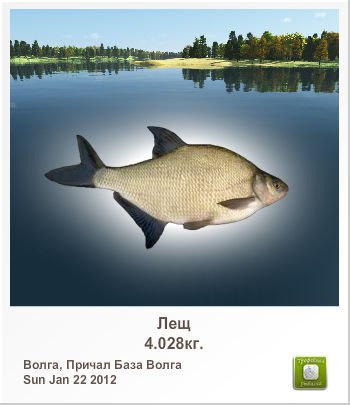 Александр Менщиков | Новосибирск