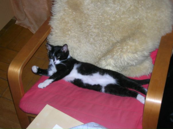 №85, Игорь Савицкий, 27.01.1996, Санкт-Петербург №85, Игорь Савицкий, 27.01.1996, Санкт-Петербург