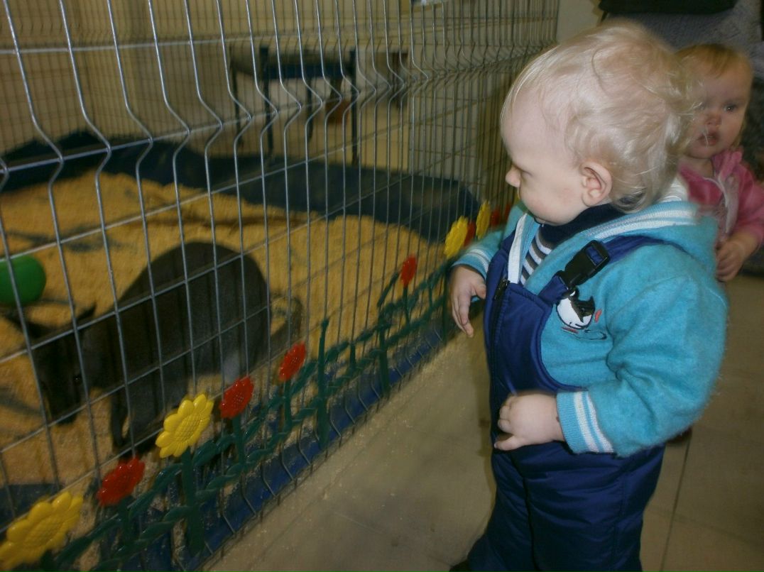 Елена Назарова | Псков