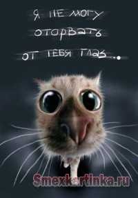 №55, Прикольный Ангелок, Казань №55, Прикольный Ангелок, Казань