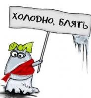 №7, Евгений Стороженко, 39 лет, Новосибирск, Россия №7, Евгений Стороженко, 39 лет, Новосибирск, Россия
