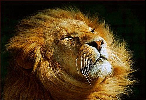 Иван Терник 