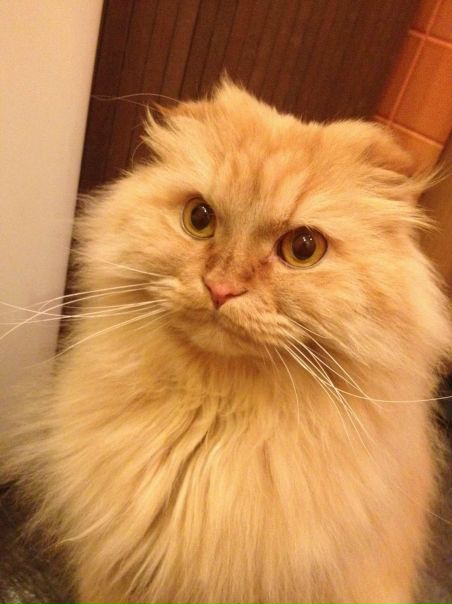 №8, Игорь Смольников, Санкт-Петербург, Россия №8, Игорь Смольников, Санкт-Петербург, Россия