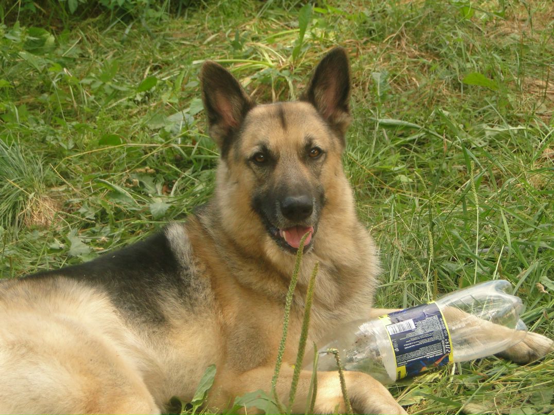 Мухтар Заозёрный | Санкт-Петербург