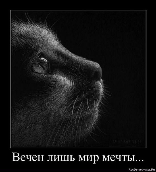 №73, Павел Родионов, 35 лет, Санкт-Петербург, Россия №73, Павел Родионов, 35 лет, Санкт-Петербург, Россия