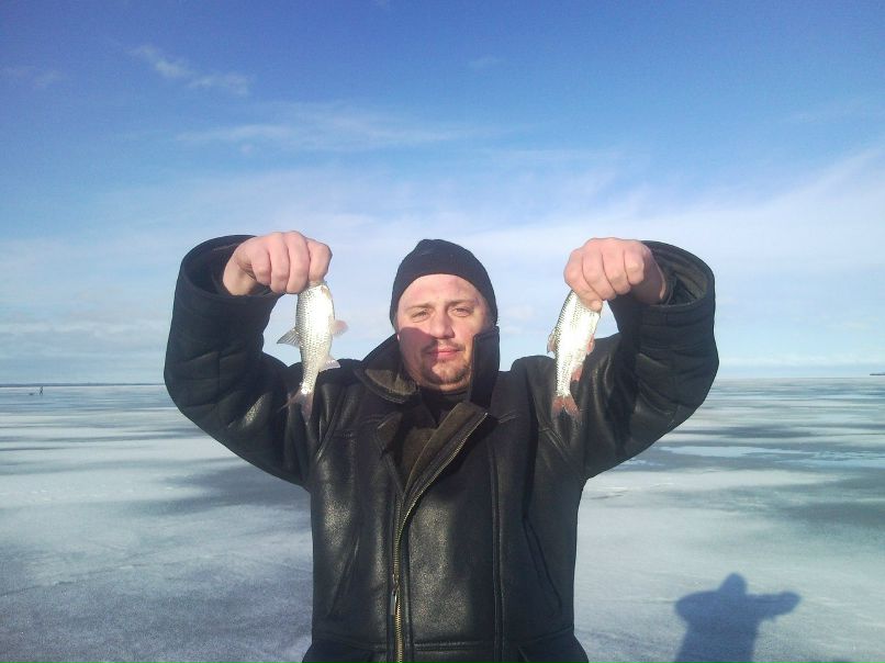 Васек Бердов | 