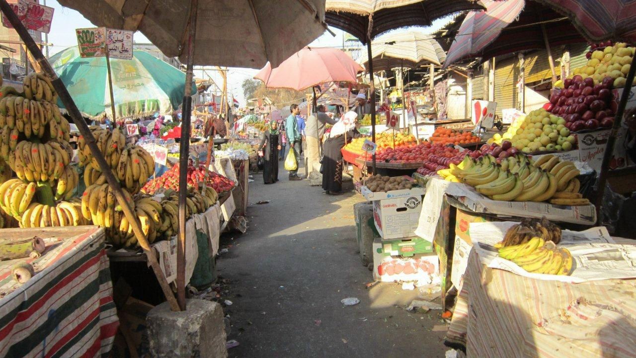 Юлия Гамаль | Taba