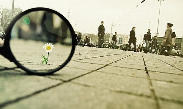 Алёна Ходыкина | Москва