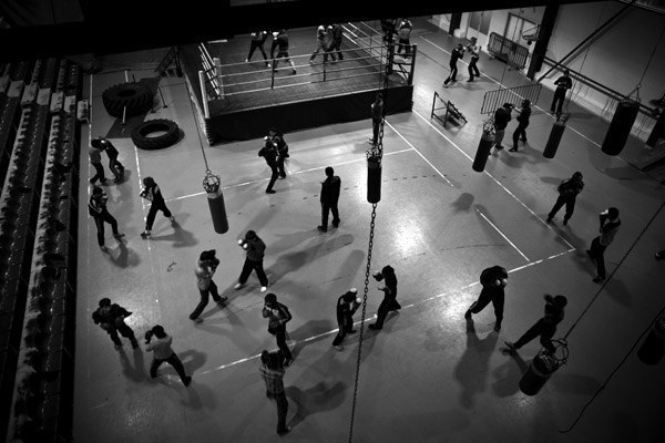 Вася Гоголадзе | 