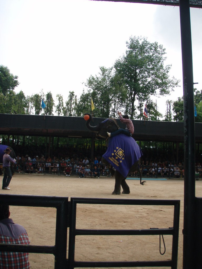 Даниил Румянцев | Ярославль