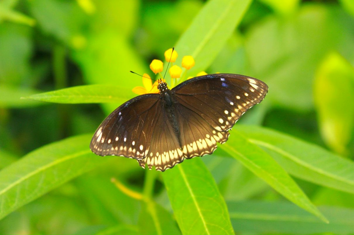 Константин Паниченко | Москва