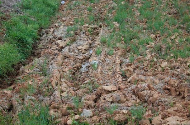 №43, Ігор Щербаков, 34 года, Бучач №43, Ігор Щербаков, 34 года, Бучач