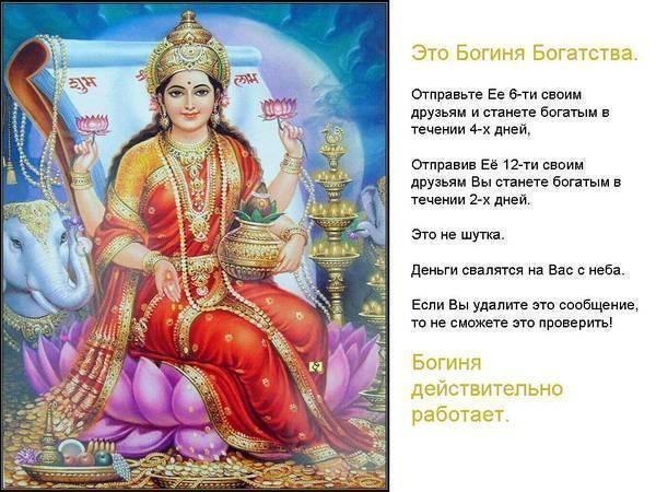 №7, Елена Бехтерева №7, Елена Бехтерева