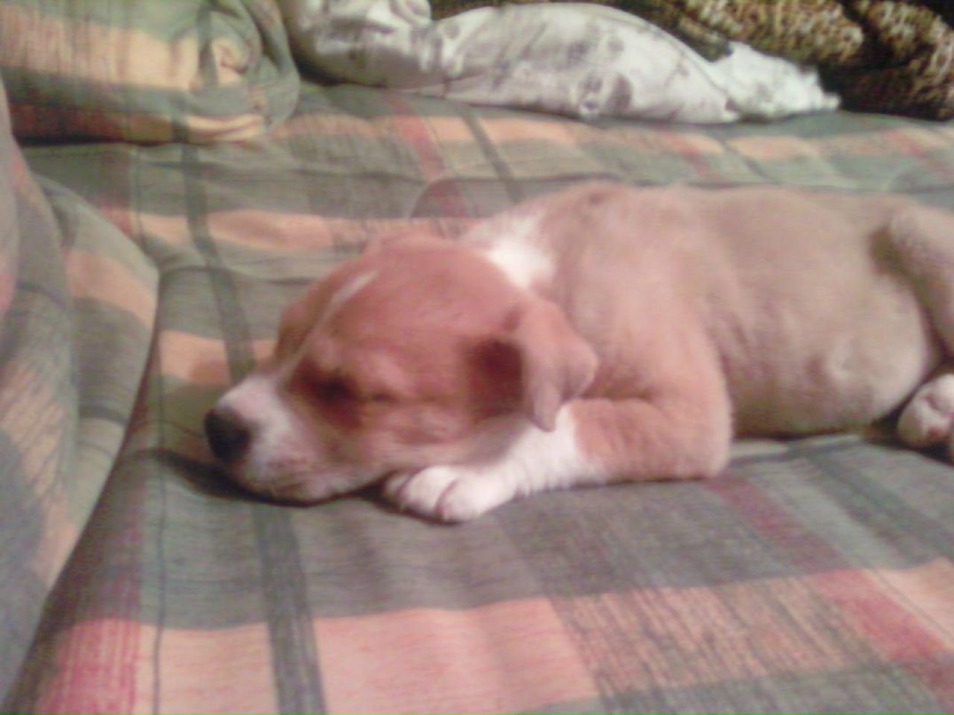 Станислав Кавлюк | Черновцы