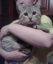 №22 Татьяна Скорописцева : профиль, фото, статус - ВКонтакте №22 Татьяна Скорописцева : профиль, фото, статус - ВКонтакте