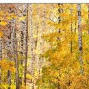 №146, Олег Водинов, Череповец №146, Олег Водинов, Череповец