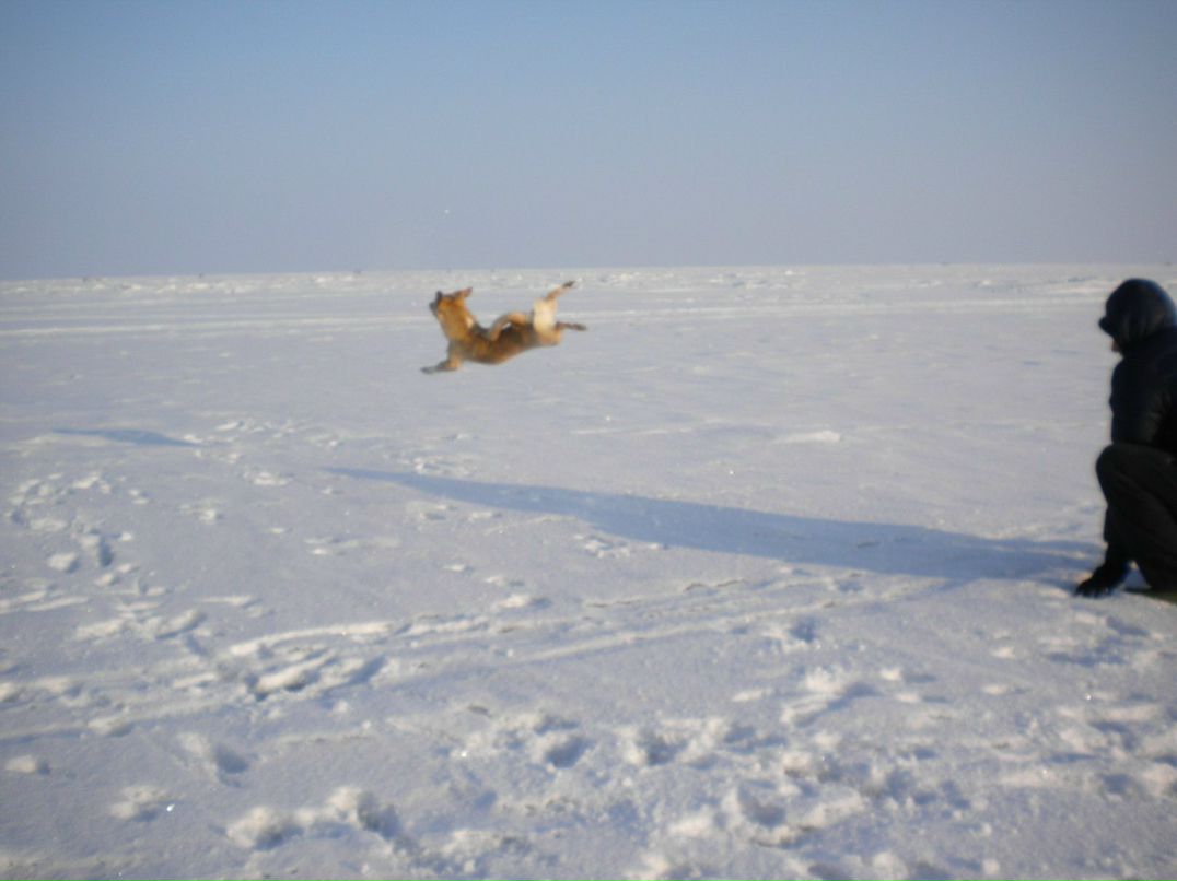 Надежда Мания | Санкт-Петербург