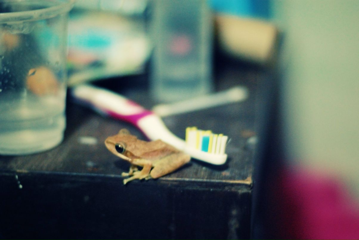 Дарья Александровна | Санкт-Петербург