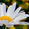 №17 Наташа Кристалинская 10.06: профиль, фото, статус - ВКонтакте