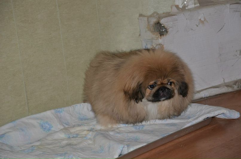 Николай Никонов _Юрич_ | Тюмень