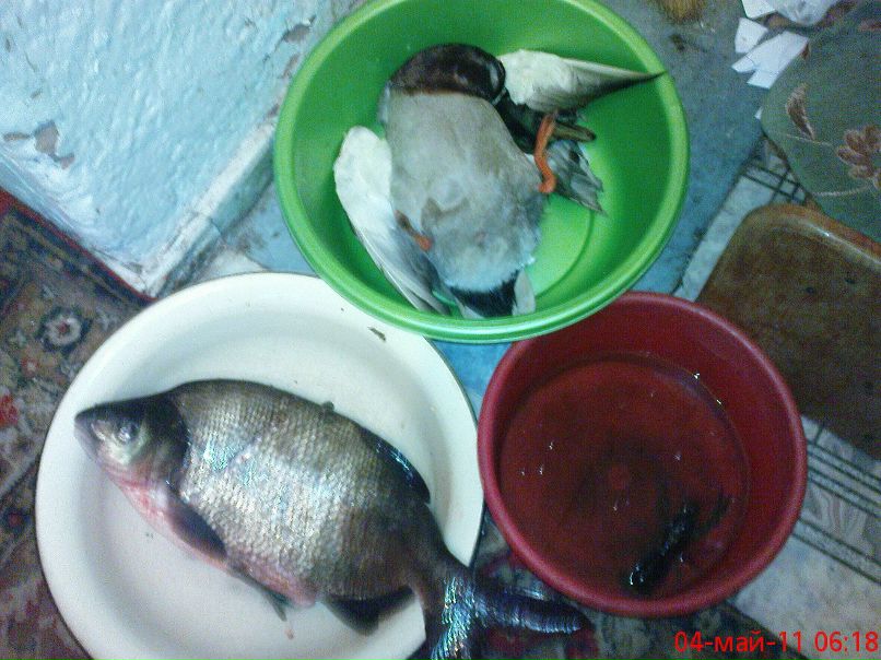 Василий Свистунов | 