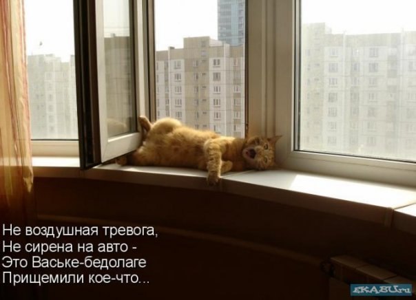 Влад Кобелев | 