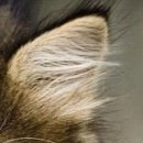 №136, Елена Ломакина, Wrocław №136, Елена Ломакина, Wrocław