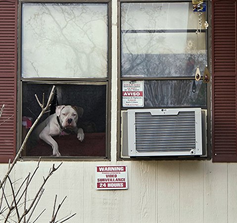 Галя Леонова | Москва