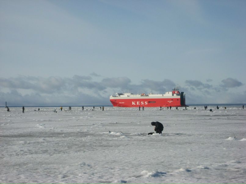 Леша Юткин | Санкт-Петербург