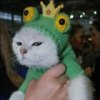 Аватар: Юра Борилко