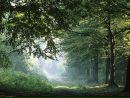 Фотография Даниял Арзулумов