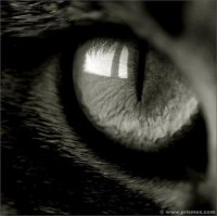 Максим Тимофеев | Донецк