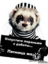 Евгений Офицеров, Старый Оскол, Россия, 20.06