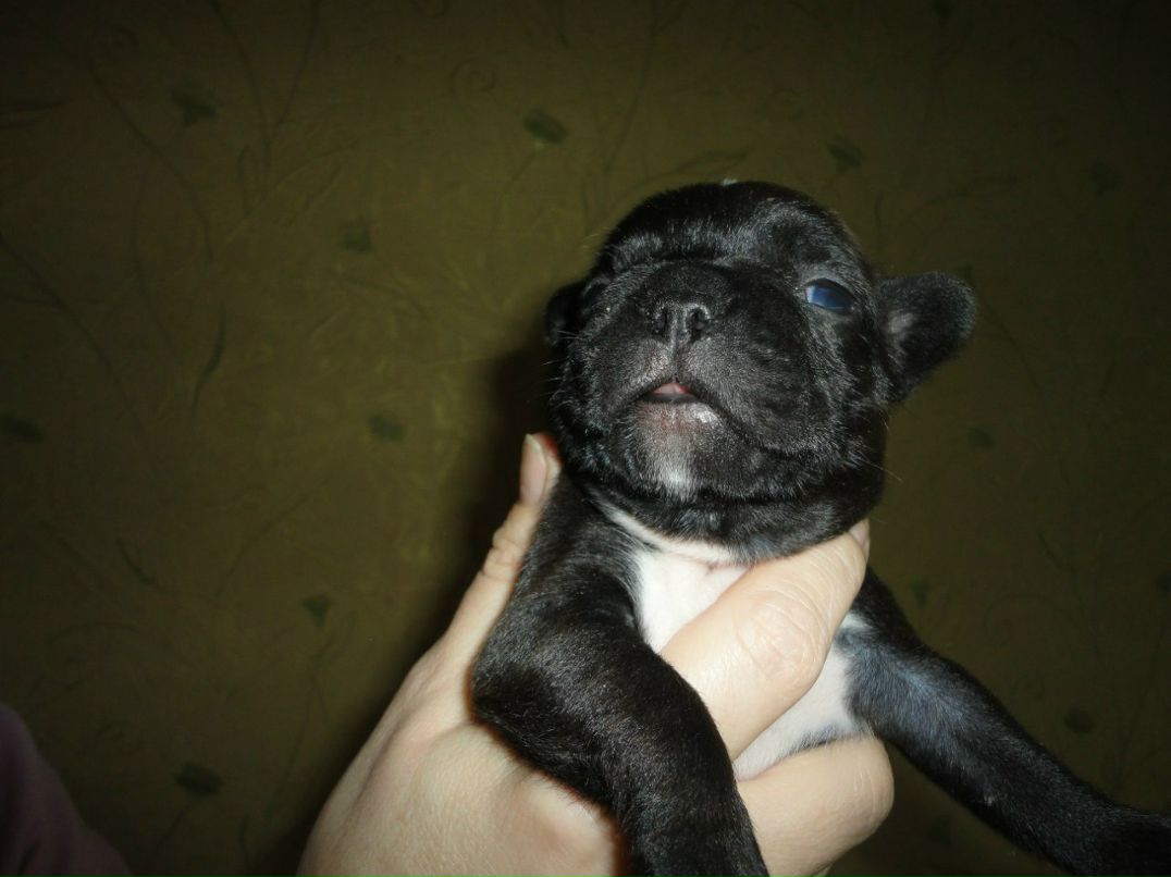 Александр Цап | Харьков