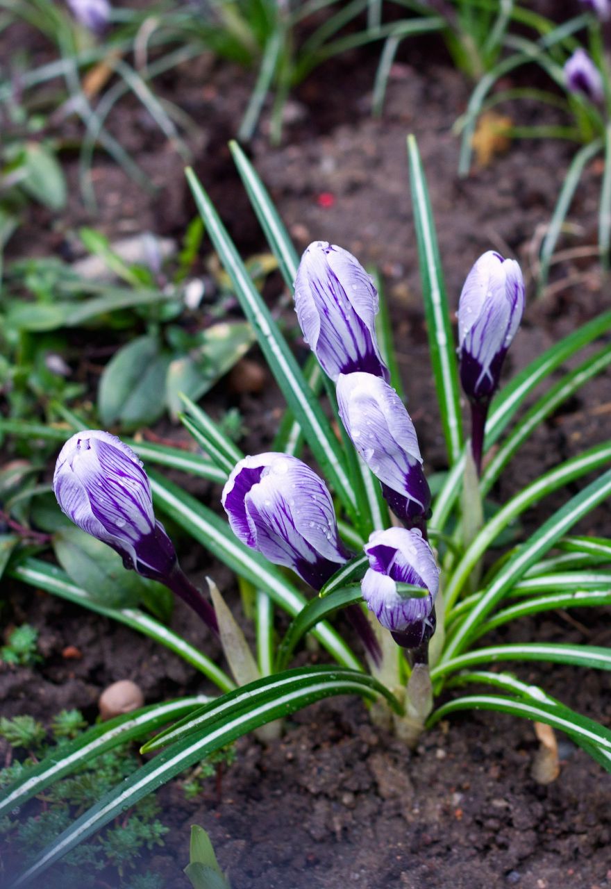 Nadin Kazakova | Санкт-Петербург