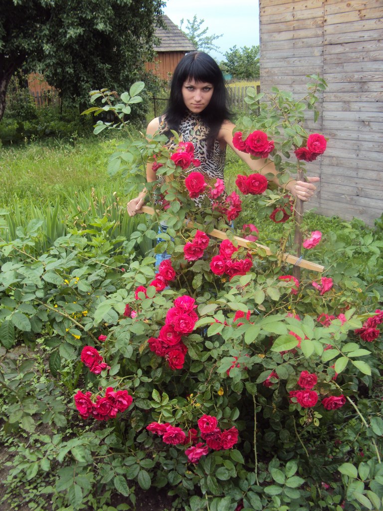 Юлія Ткачук | Житомир