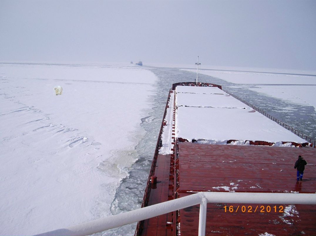 Алексей Ганёв | Петрозаводск