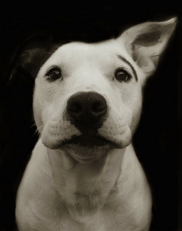 Таня Донских | 