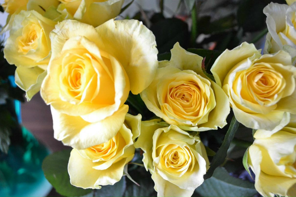 Татьяна Кизякова | Волгоград