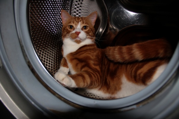 №115, Сергей Омшенецкий, 37 лет, Москва №115, Сергей Омшенецкий, 37 лет, Москва