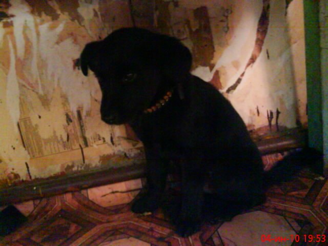 Марина Казбек | Печоры