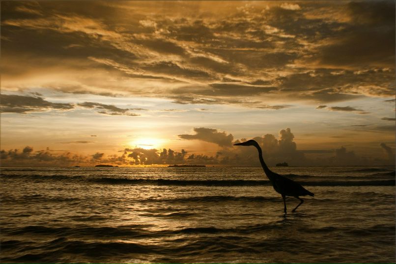 Екатерина Шишацкая | Краснодар